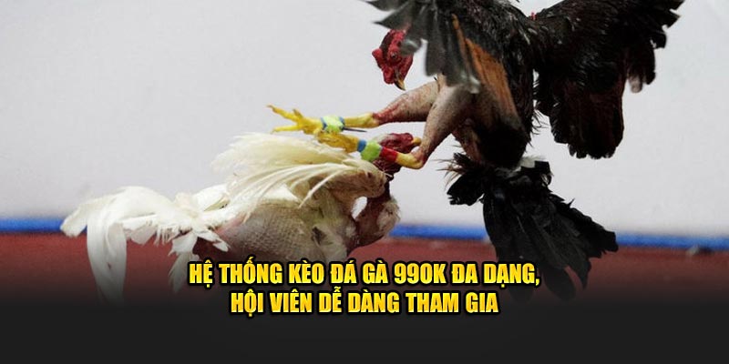 Hệ thống kèo đá gà 99OK đa dạng, hội viên dễ dàng tham gia