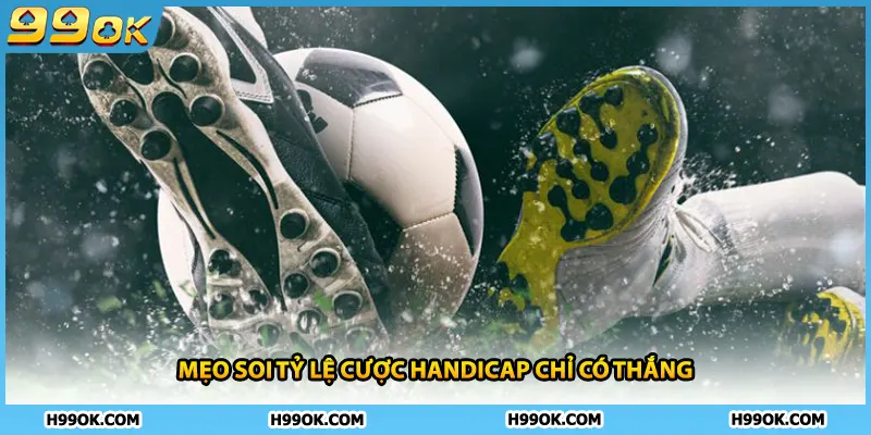 Mẹo soi tỷ lệ cược Handicap chỉ có thắng